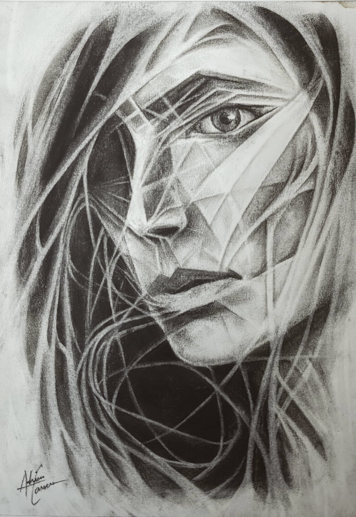 not a rebel; just a normal person (observer/fabricator)